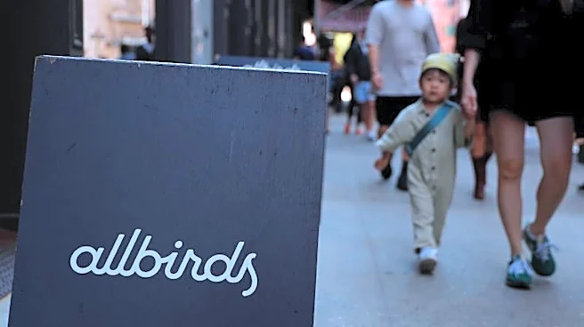Allbirds rebrands as Smartbird in AI pivot, hires former AWS executive as CEO