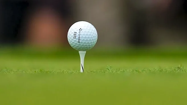 Golf-R&A and USGA delay golf-ball rollback rule, aimed at reeling in long hitters, to 2030