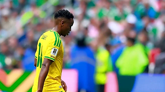 Soccer-South Africa midfielder Zwane handed three-match World Cup ban