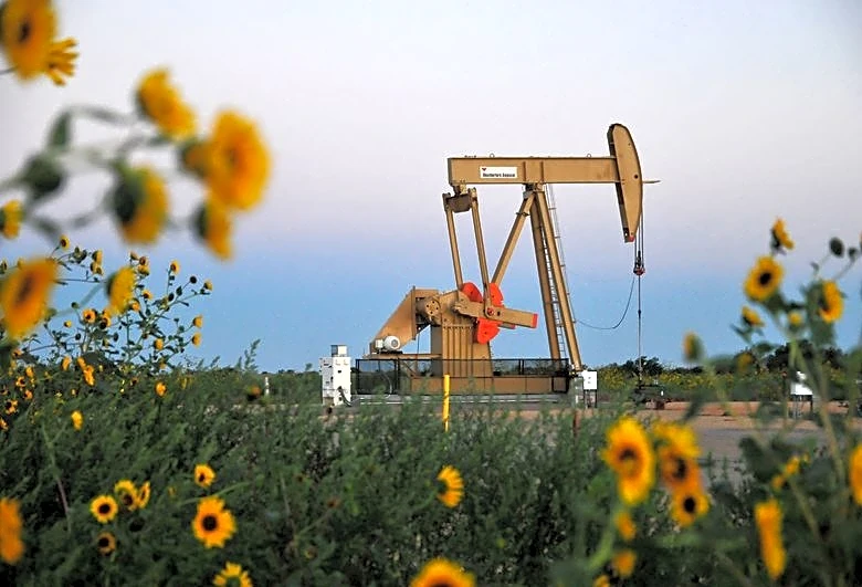 Activist TOMS Capital pushes US shale producer Devon to quicken asset sales or sell itself, sources say
