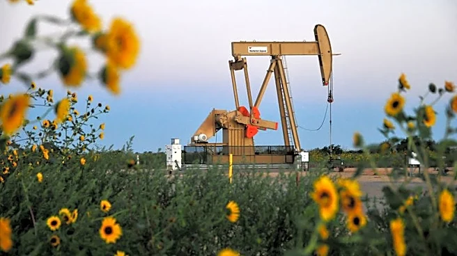 Activist TOMS Capital pushes US shale producer Devon to quicken asset sales or sell itself, sources say