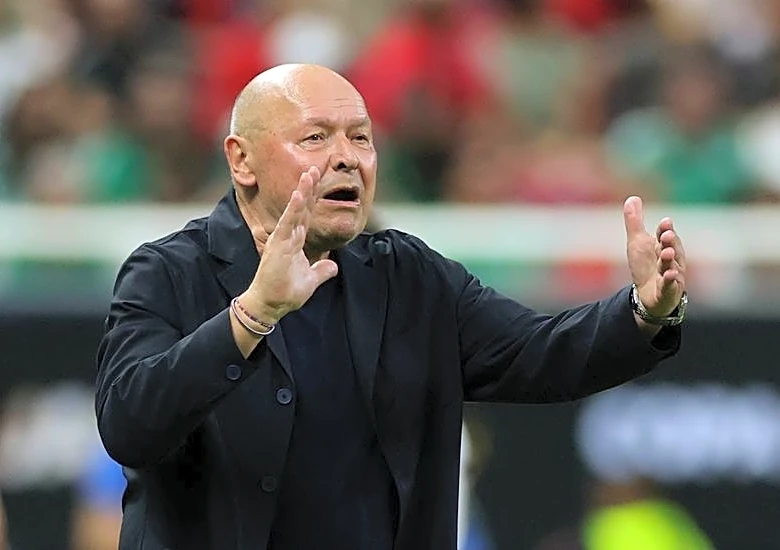 Soccer-Czechs expect a different South Africa, says coach Koubek