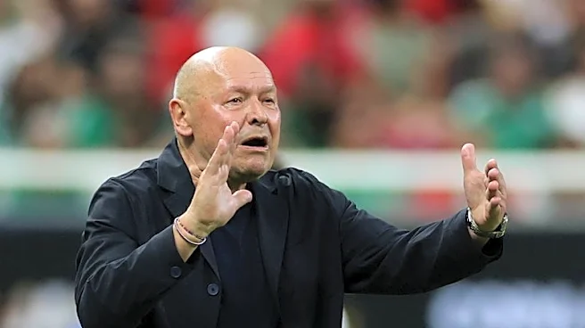 Soccer-Czechs expect a different South Africa, says coach Koubek