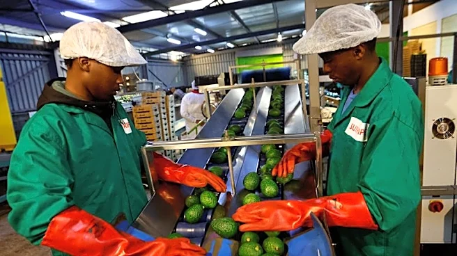Analysis-China's African tariff removals, trade surge spur yuan adoption