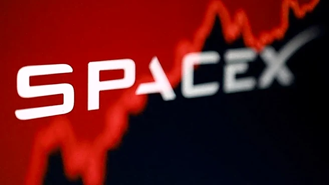SpaceX bankers prepare for potential $20 billion bond offering, source says