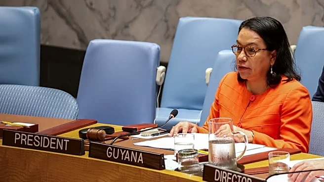 Guyana UN candidate calls maintaining UN 'collective responsibility'