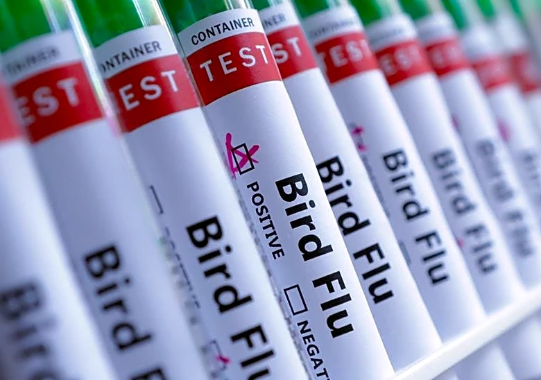 Australia, last continent without H5 bird flu, detects first suspected case