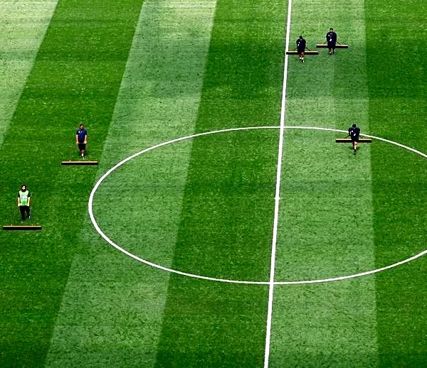 Soccer-Pitch not perfect: World Cup players find weirdness underfoot on innovative grass