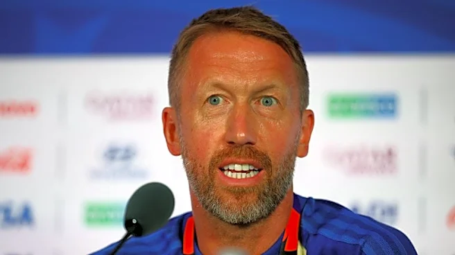Soccer-Sweden's super strikers are vital to World Cup cause, says coach