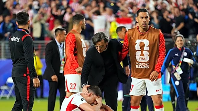 Soccer-Turkey coach laments early exit but says players showed heart and soul