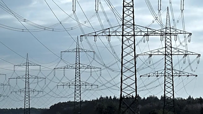 Global business leaders back faster electrification shift