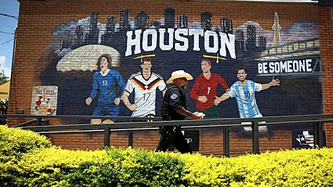 Soccer-Local World Cup fans wave many flags in multicultural Houston