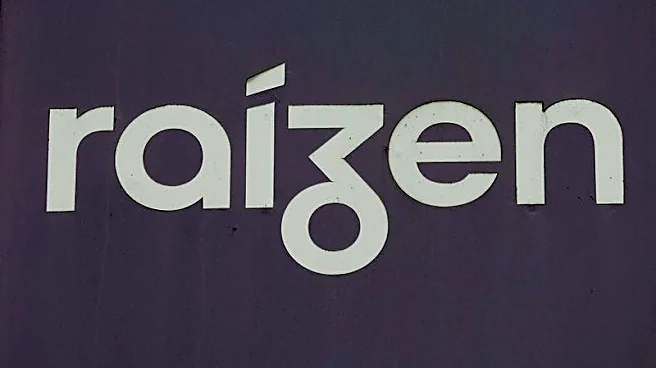IG4 seeks commitment to buy Brazil's Raizen by March 2027