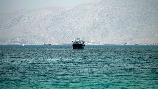 More vessels transit Hormuz, Qatar-linked LNG tankers return, data show