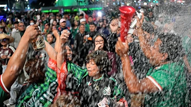 Soccer-Mexico City bans alcohol sales ahead of Mexico-Czech Republic match