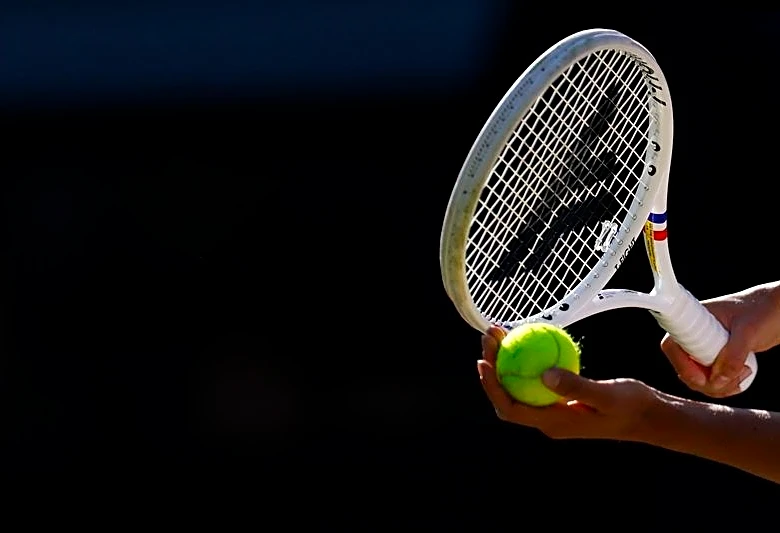 Tennis-Line calling system glitch halts play at baking hot Wimbledon qualifying