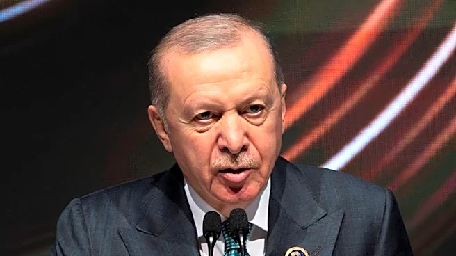 Erdogan says bilateral talks with Trump likely at NATO summit in Turkey