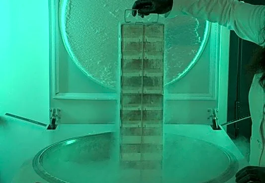 US to create genomic and cellular 'BioVault' for endangered species