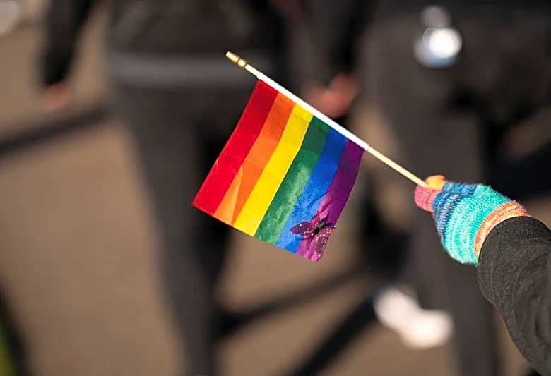 Soccer-FIFA gives green light for rainbow flags at Egypt v Iran World Cup clash