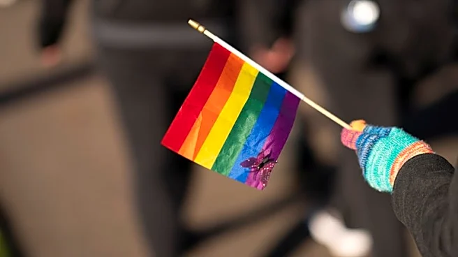 Soccer-FIFA gives green light for rainbow flags at Egypt v Iran World Cup clash