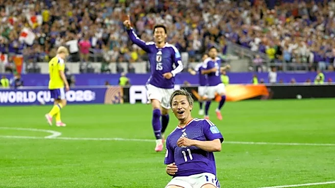 Soccer-Japan draw 1-1 with Sweden to finish second in Group F