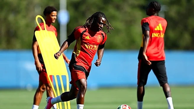 Soccer-Belgium's Doku not ready for full 90 minutes against New Zealand, says coach