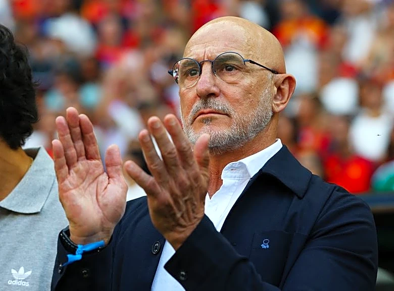 Soccer-Spain’s De la Fuente praises team's resilience, lauds World Cup progress