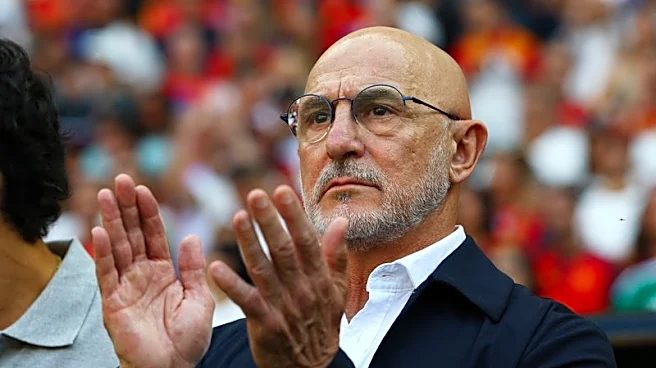 Soccer-Spain’s De la Fuente praises team's resilience, lauds World Cup progress