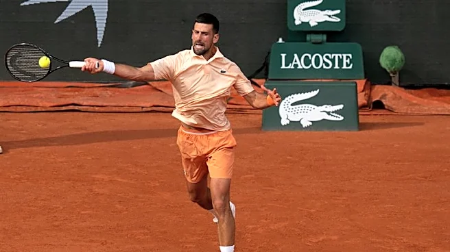 Tennis-Djokovic leads praise for Serena ahead of Wimbledon comeback