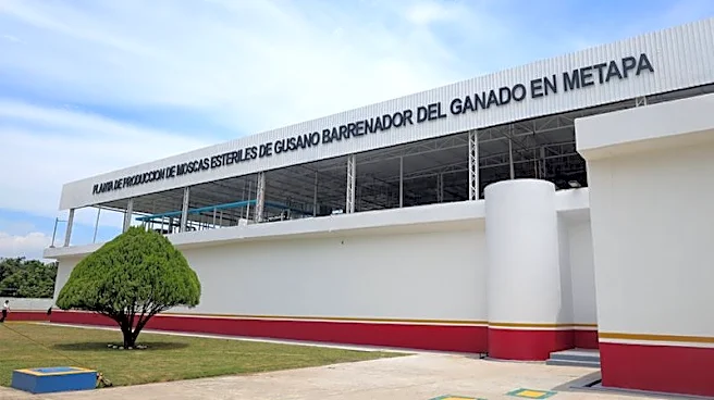 US, Mexico inaugurate sterile fly plant in Chiapas in cross-border screwworm fight