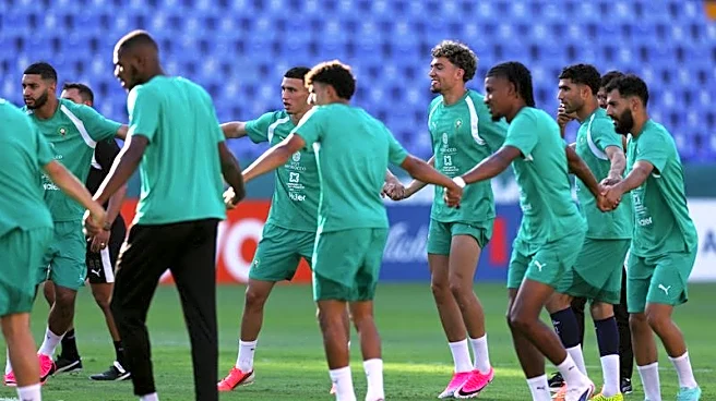 Soccer-Africa revel in World Cup success with nine teams into knockout round