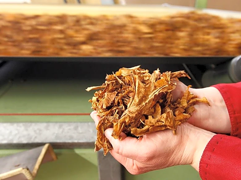 British American Tobacco cost cutting hits 9,000 roles