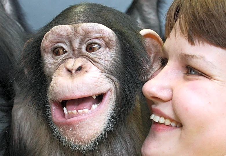 Humans and great apes show similar rhythmic pattern in laughter