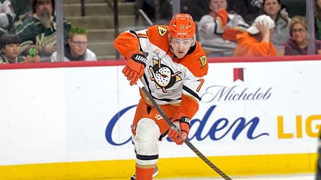 Panthers acquire rights to Radko Gudas from Ducks for rights to A.J. Greer