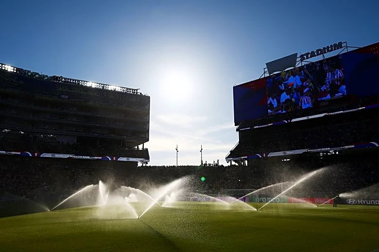 Soccer-In soccer stronghold California, World Cup is a seismic event