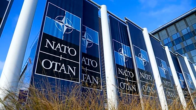 NATO joins exercises off US coast, even as it loses political fight in Trump's Washington