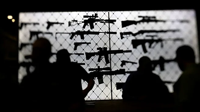 US Supreme Court to hear challenge to state-level assault rifle bans