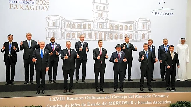Mercosur launches economic partnership talks with Japan, eyes China