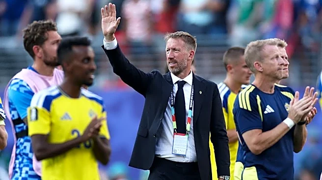 Soccer-Even 'perfect' may not have toppled France, says Sweden coach Potter