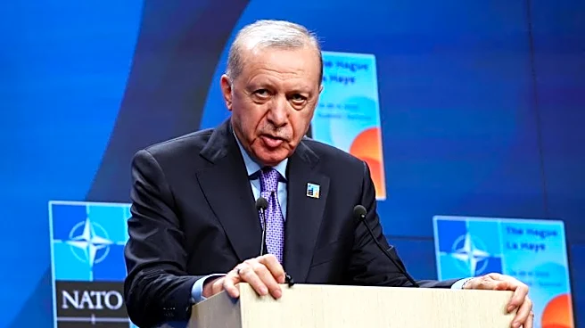Analysis-NATO allies have grown silent on rights concerns in Turkey