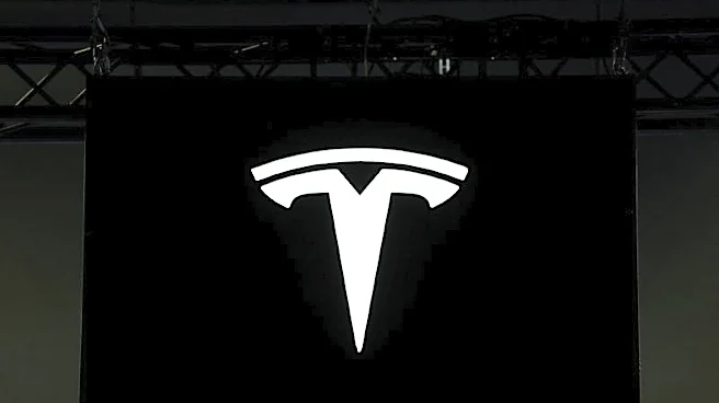 Tesla European registrations climb in June