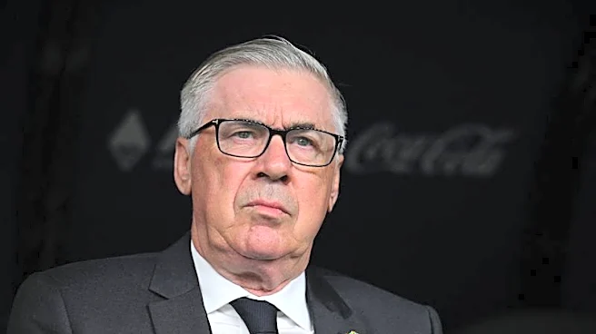 Soccer-Norway's Solbakken praises Ancelotti ahead of Brazil World Cup clash