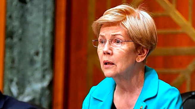 US Senator Warren calls for Fed watchdog review of Bowman's BofA dinner, WSJ reports
