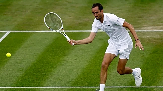 Tennis-Medvedev labours into Wimbledon third round