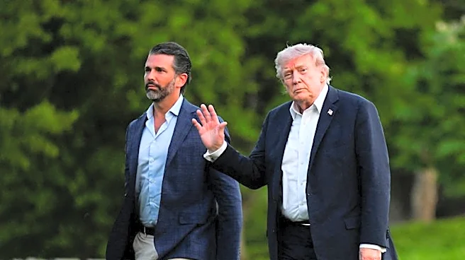 Trump Jr.'s 'Amazon of guns' could make millions under new proposed firearm rule