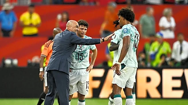Soccer-Portugal manager Martinez praises referee after World Cup win over Croatia