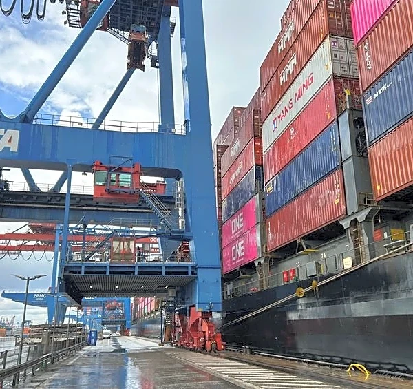EU trade with US hits record despite tariff tensions, study shows