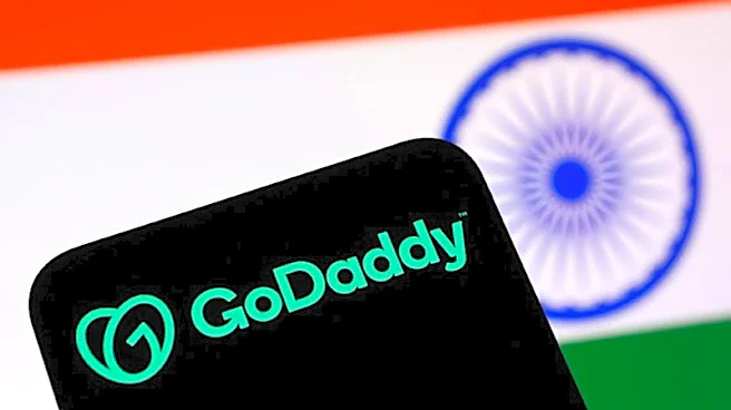 Exclusive-World's biggest domain seller fears India's fake site crackdown could damage internet