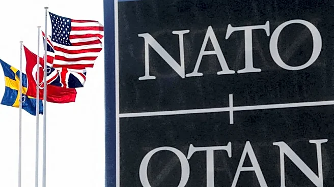 Explainer-What are the key challenges facing NATO?