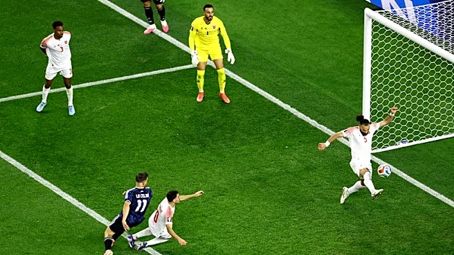 Soccer-Canadian league says 17 World Cup offside goals would have stood in its 'daylight' trial